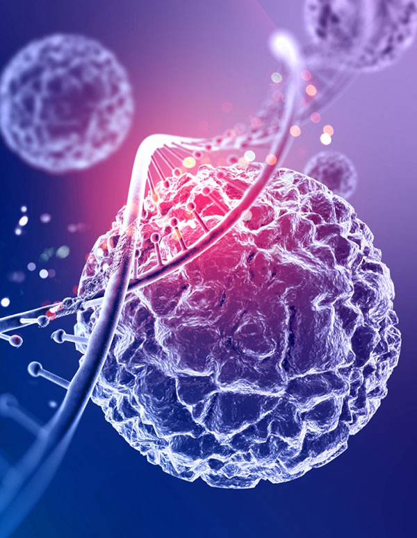幹細胞とは、自己複製能と多分化能という、特殊な能力を持つ希少な細胞の総称です