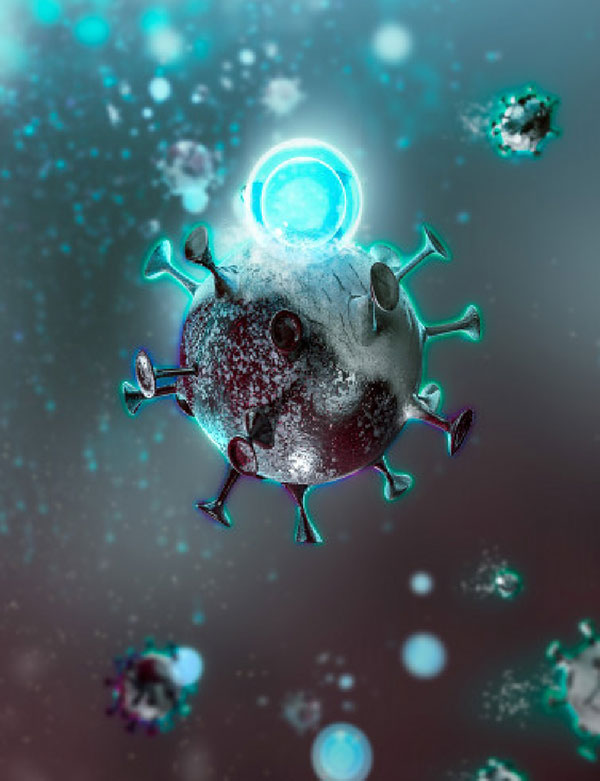 Immune cells are the defense force that constantly protects your body