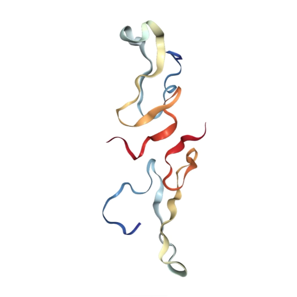 Structure of human EGF(epidermal growth factor)