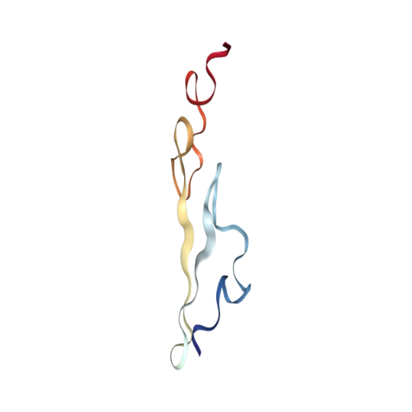 Structure of mice EGF(epidermal growth factor)