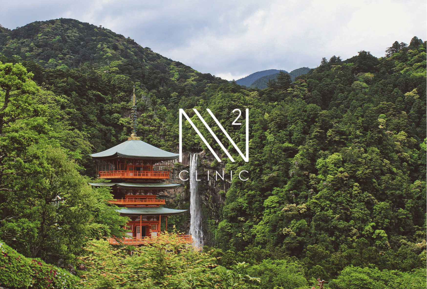 なぜ幹細胞は再生能力が高いのか？仕組みを専門家目線でわかりやすく解説