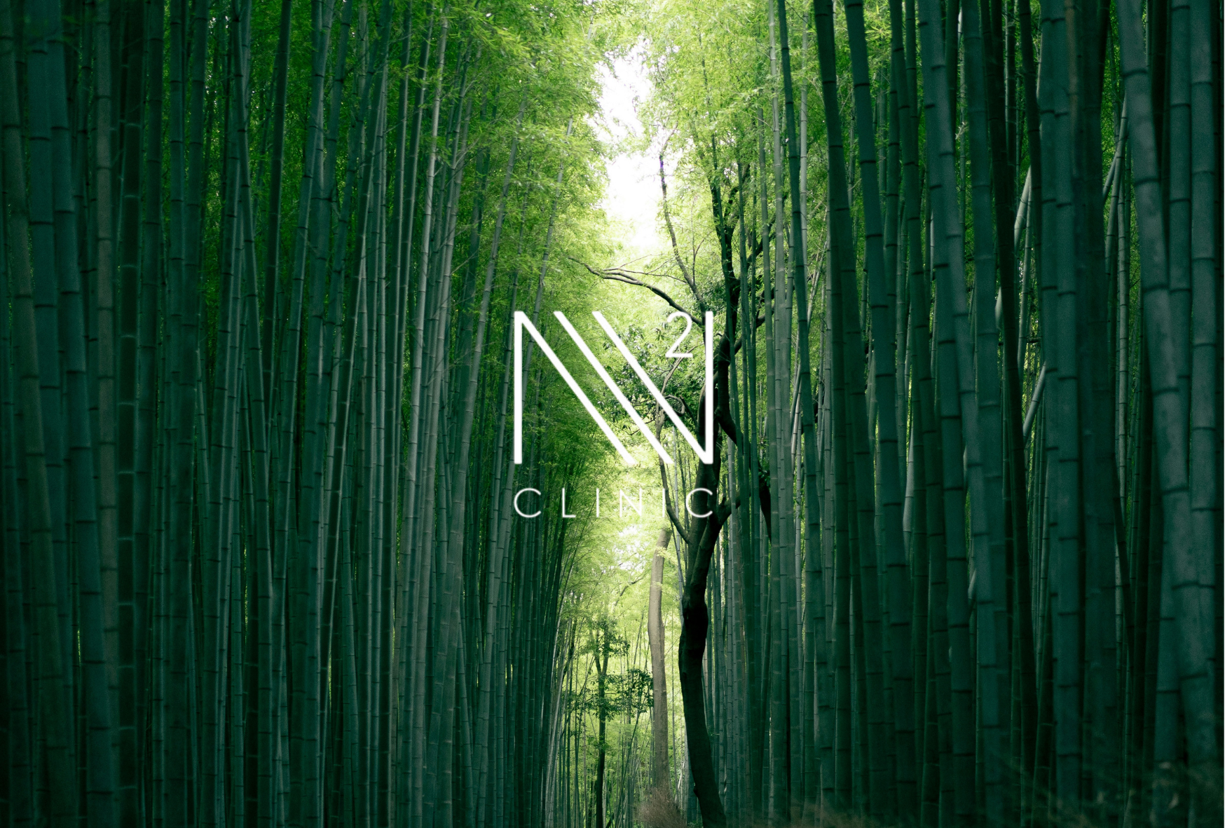 免疫治療療法とは何か？全体像からわかりやすく解説
