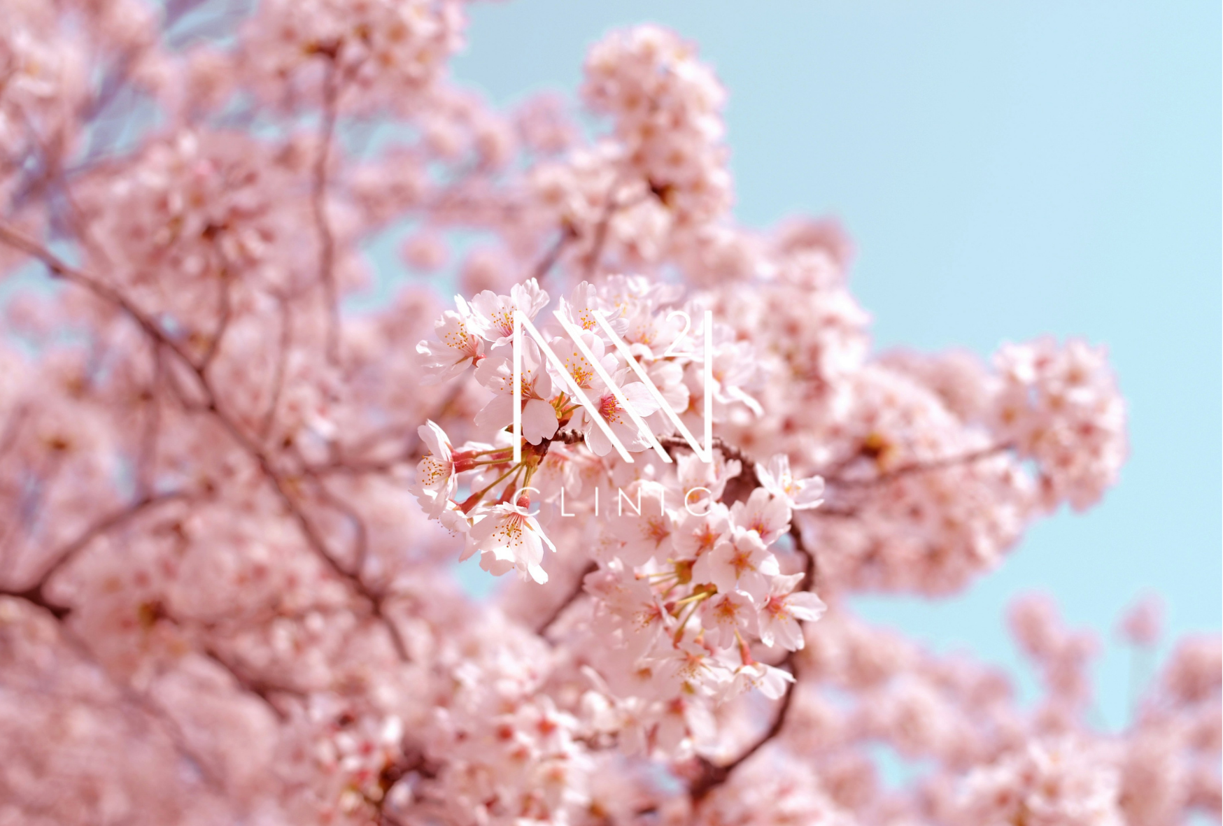 体内の免疫の司令塔はどこ？免疫ネットワークがつくる防御の設計図