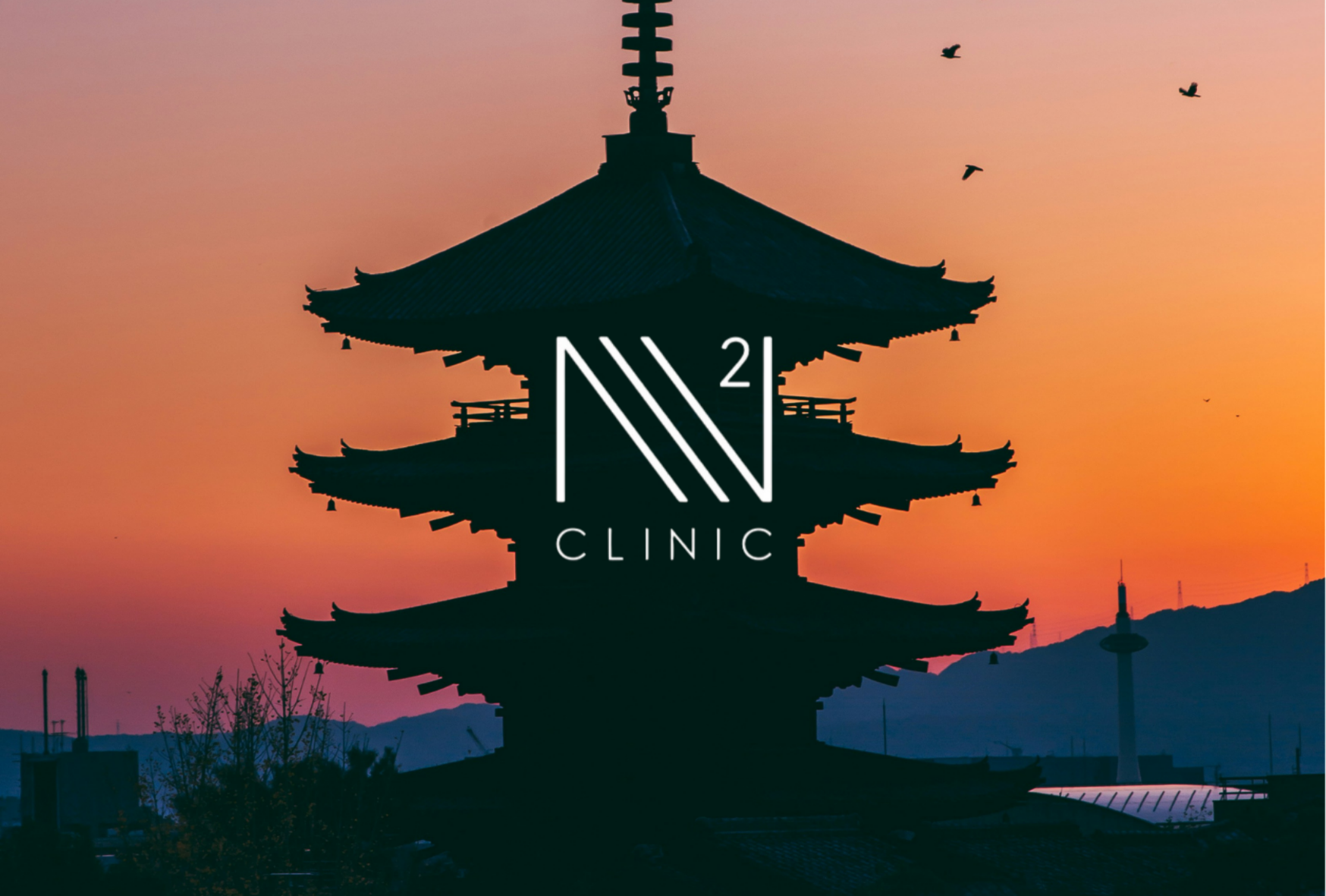 幹細胞培養上清とは？わかりやすく基本解説