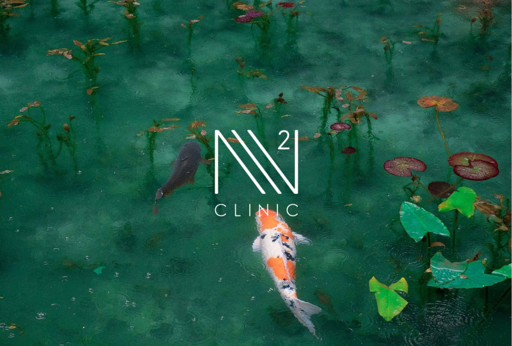 ​幹細胞培養上清が期待できる美容効果まとめ