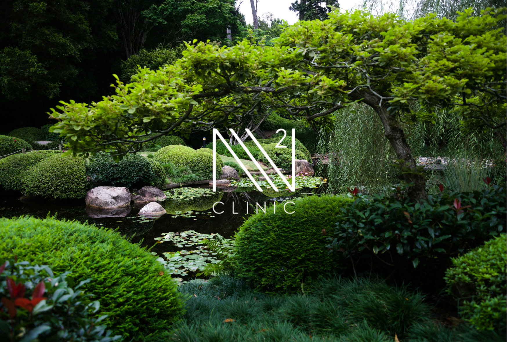 ミトコンドリアと免疫細胞の密接な関係