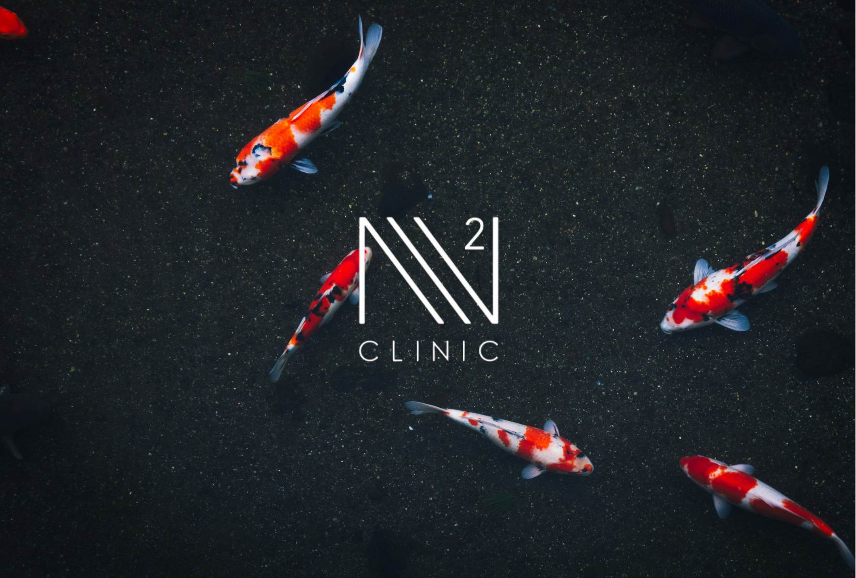 高齢の方でも幹細胞は取れる？年齢と細胞数の関係