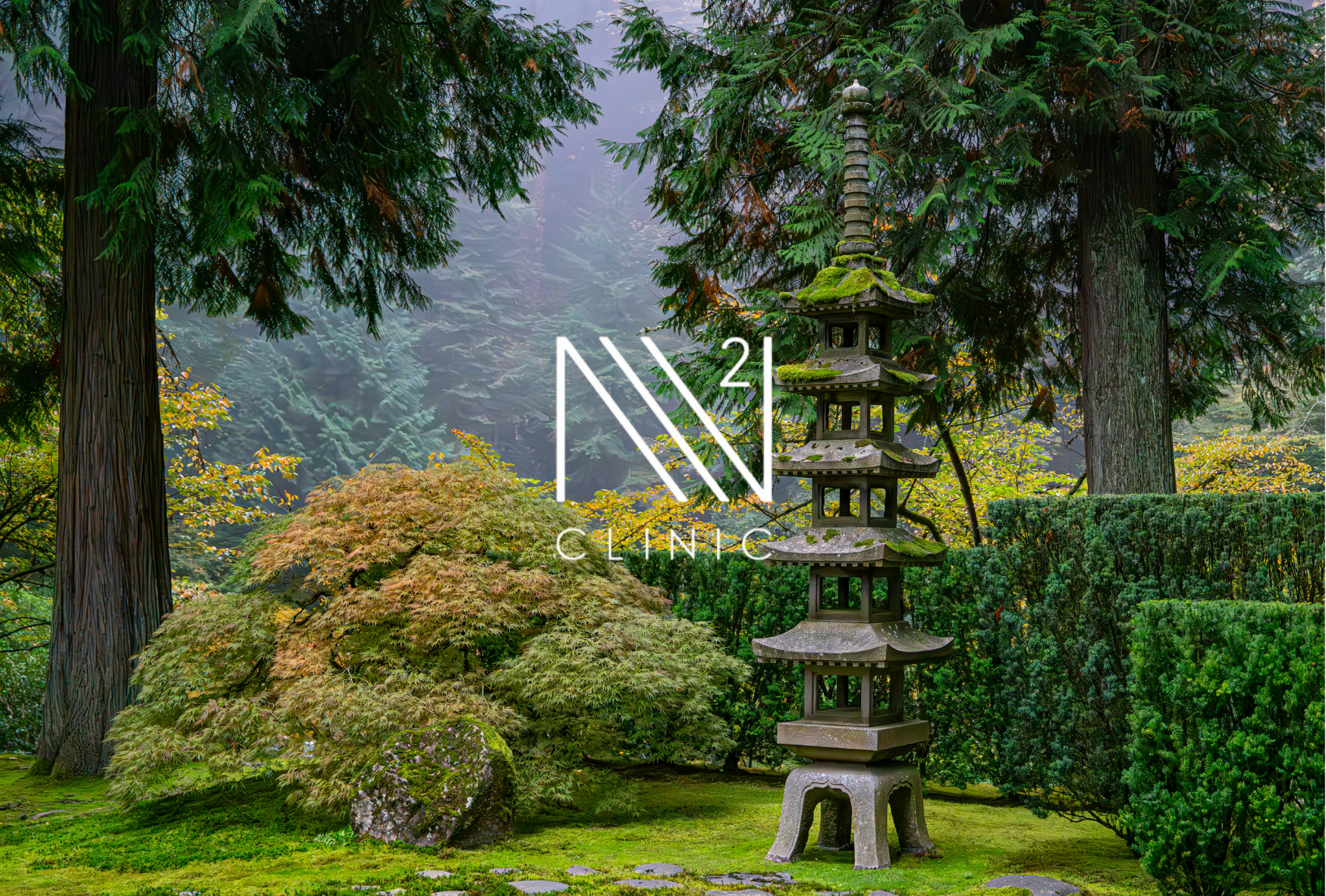 スポーツ障害に対する幹細胞：筋・腱・靭帯への応用