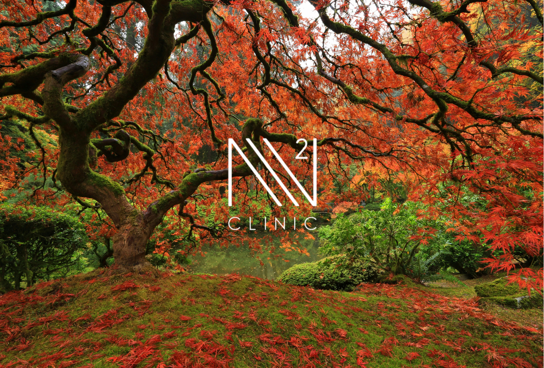 妊娠・出産と幹細胞：女性のライフステージと細胞の変化