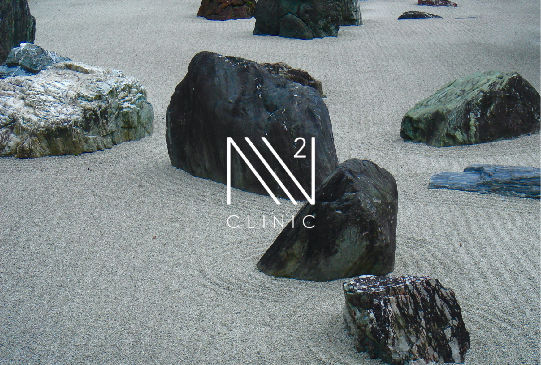 線維化と幹細胞：肝臓・肺・腎臓に起こる変化と可能性