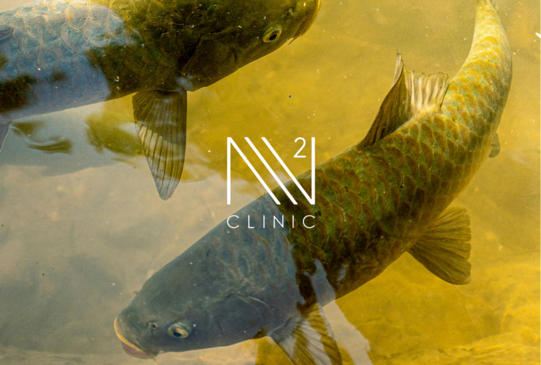 自律神経の乱れに対する幹細胞のアプローチ