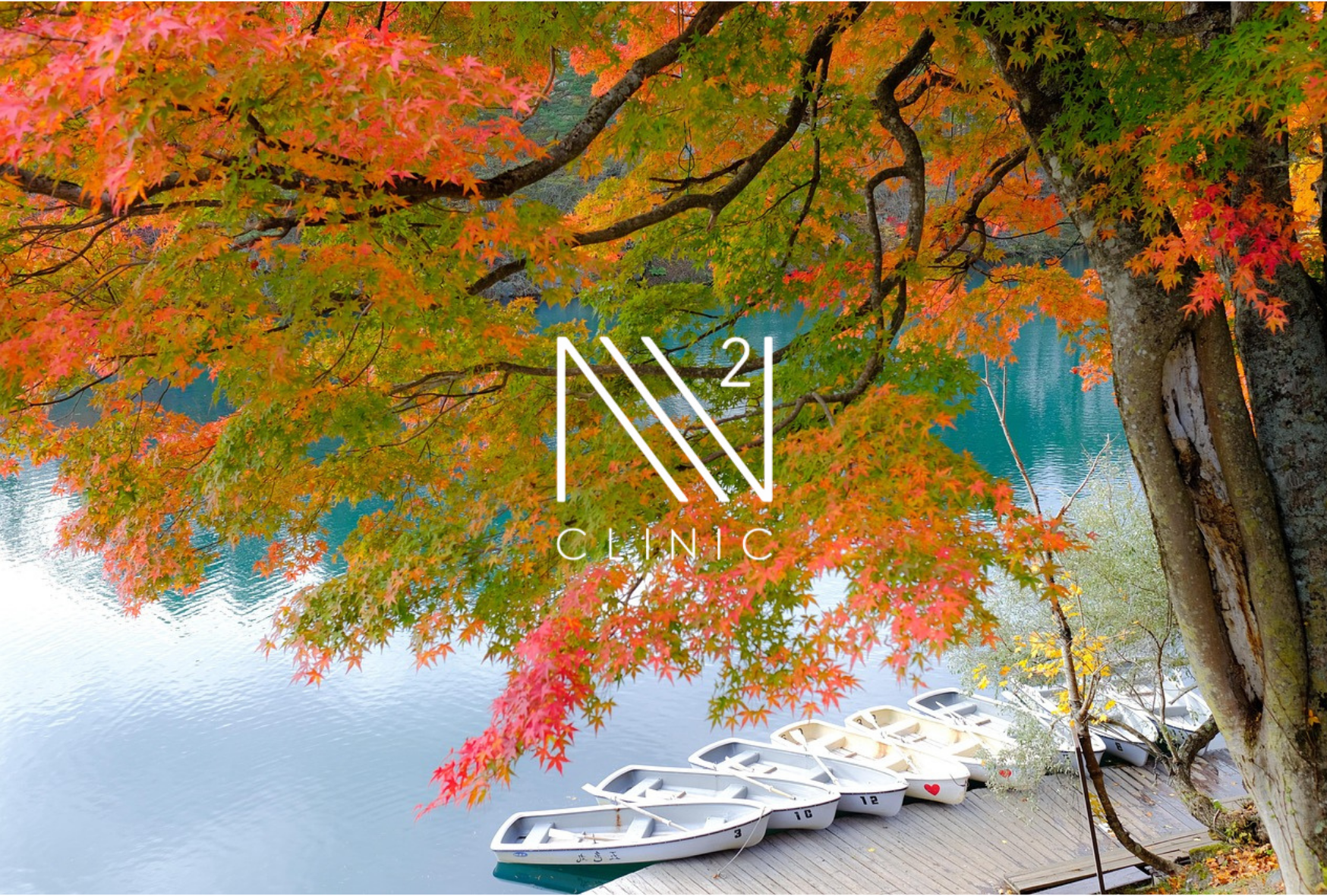 なぜ脂肪から幹細胞を採るの？骨髄由来との違い