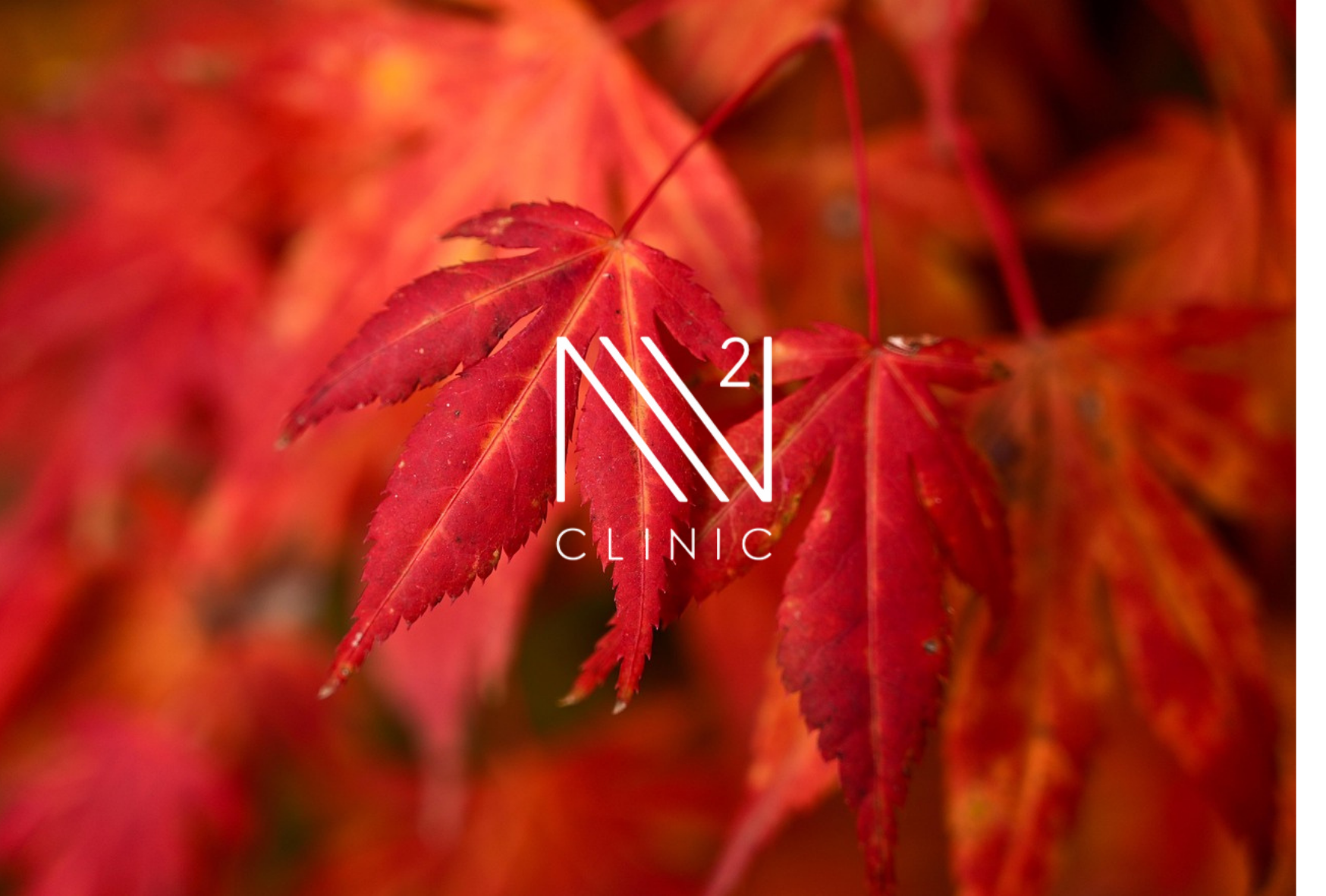 医療幹細胞は「何が分かっていて」「何がまだ分かっていない」のか