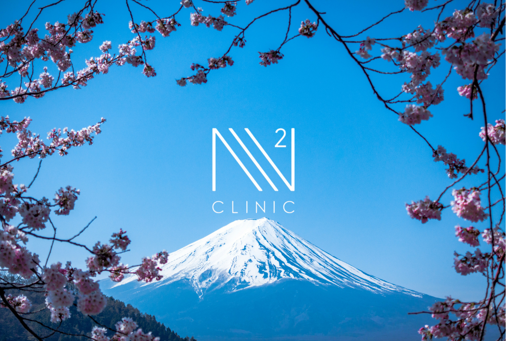 「歳だから仕方ない」と言われた人へ ── 再生医療の最前線から