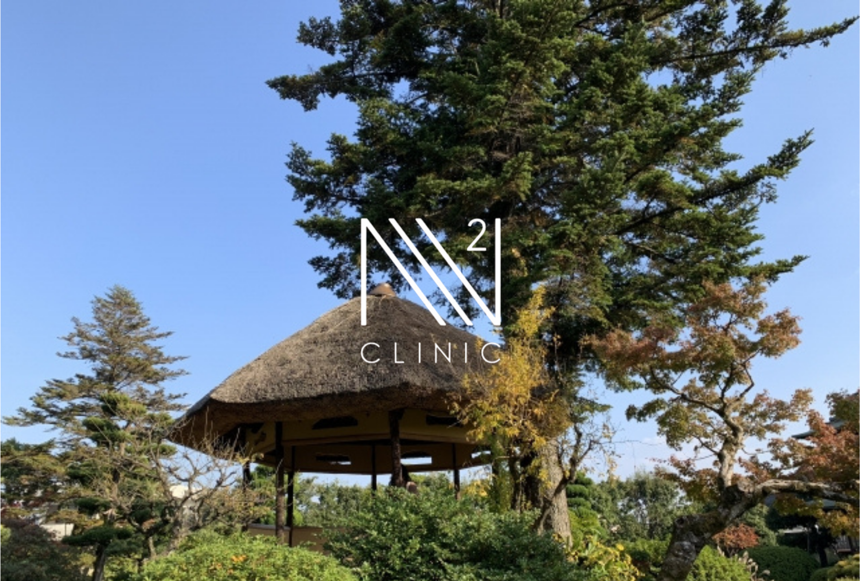 幹細胞治療ってそもそも何？治療の仕組みを患者様目線で解説