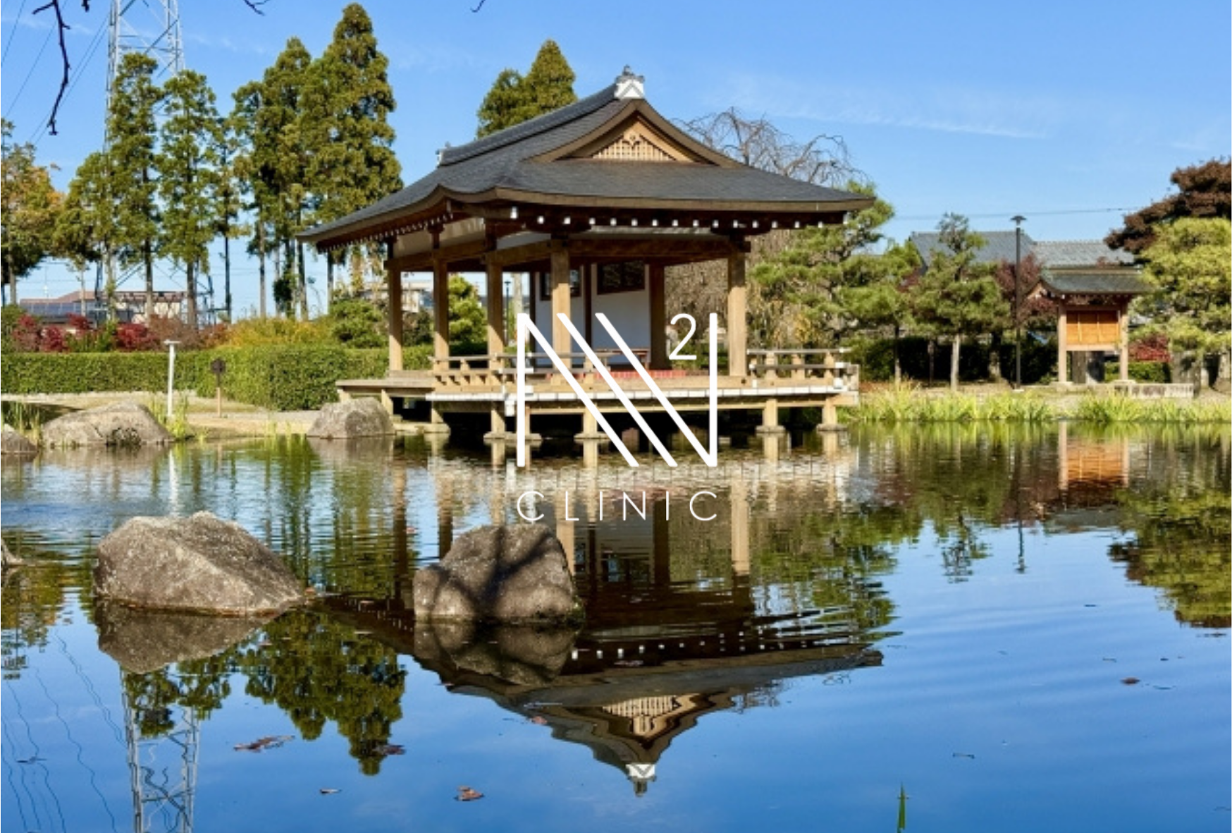 「再生医療＝若返り」は本当？医学的にできること・できないこと