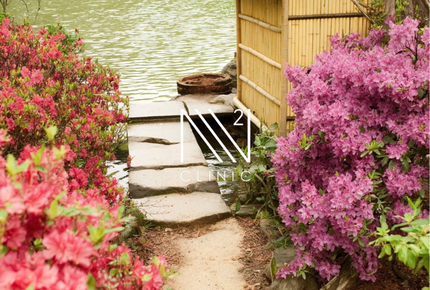 再生医療はなぜ自由診療なの？保険診療との違い