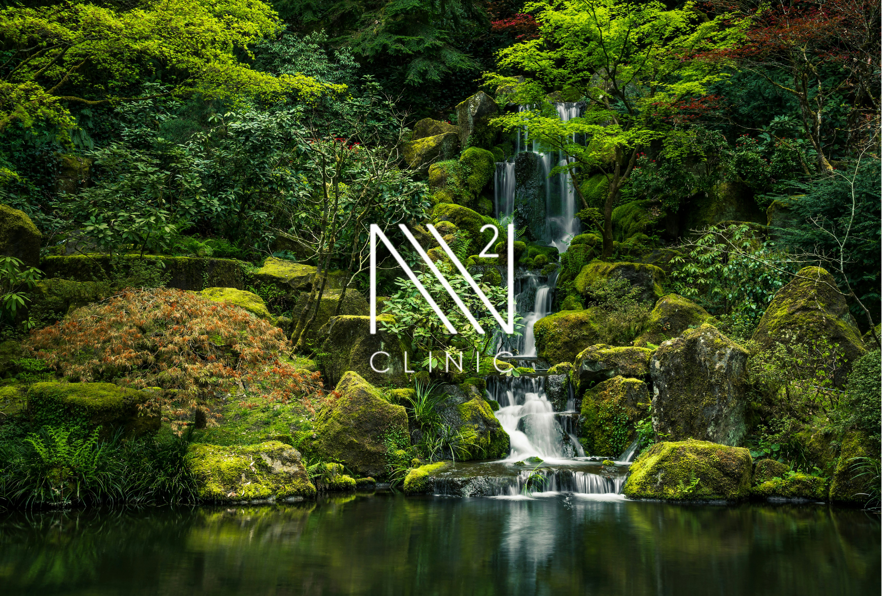 ​老化は治療できるのか？ 幹細胞研究が示す未来