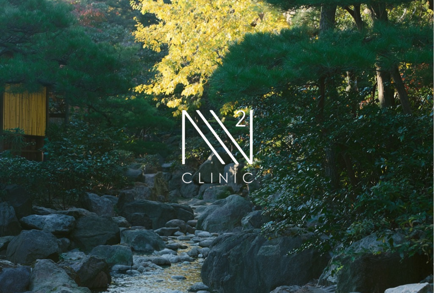 変形性膝関節症に幹細胞治療はどこまで効果が期待できる？