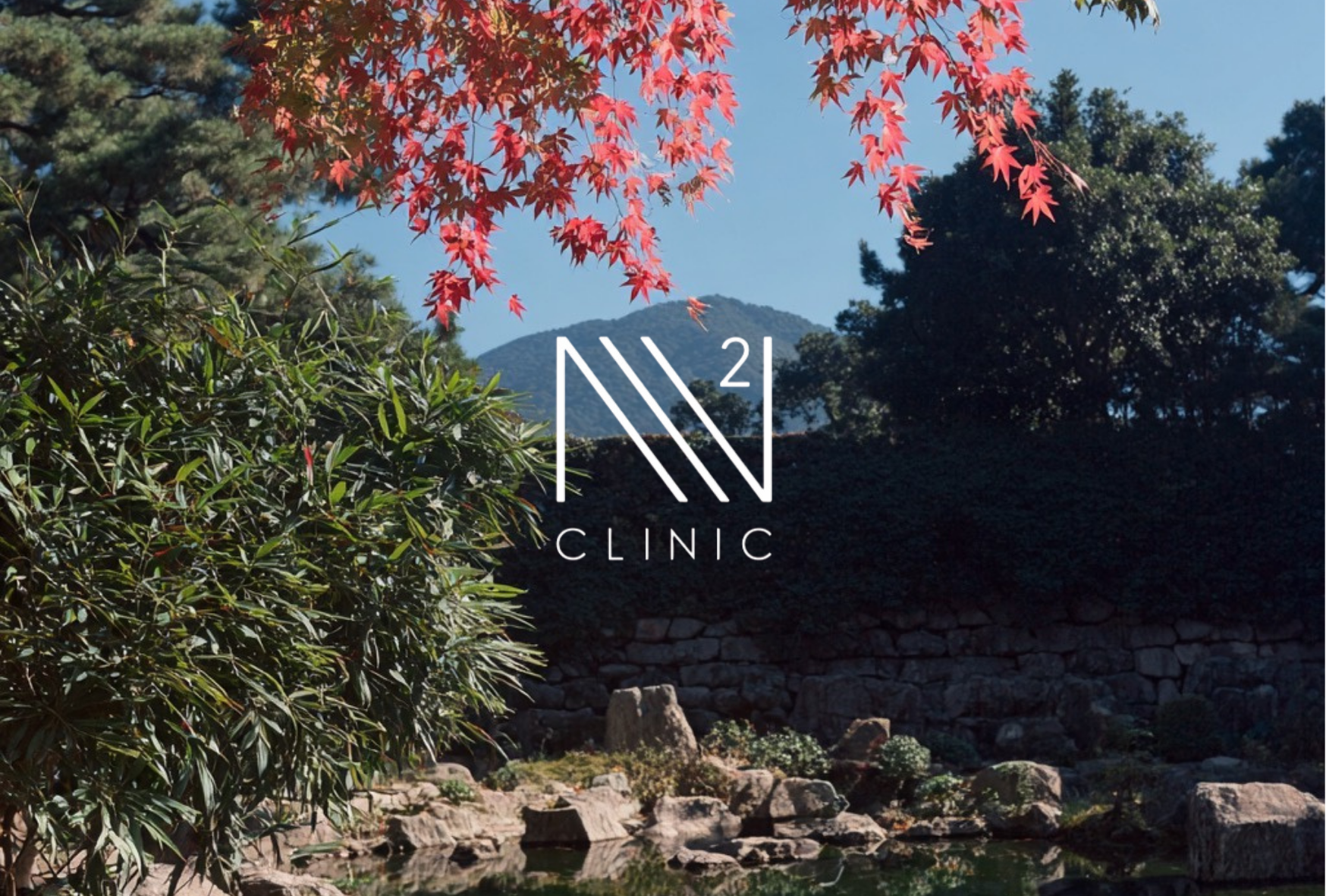 AGA治療に幹細胞が使われる理由とは？