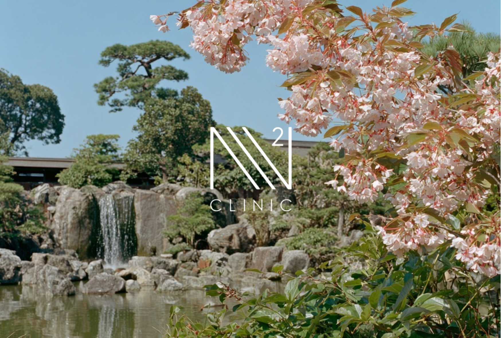 内服薬・外用薬と再生医療の併用効果