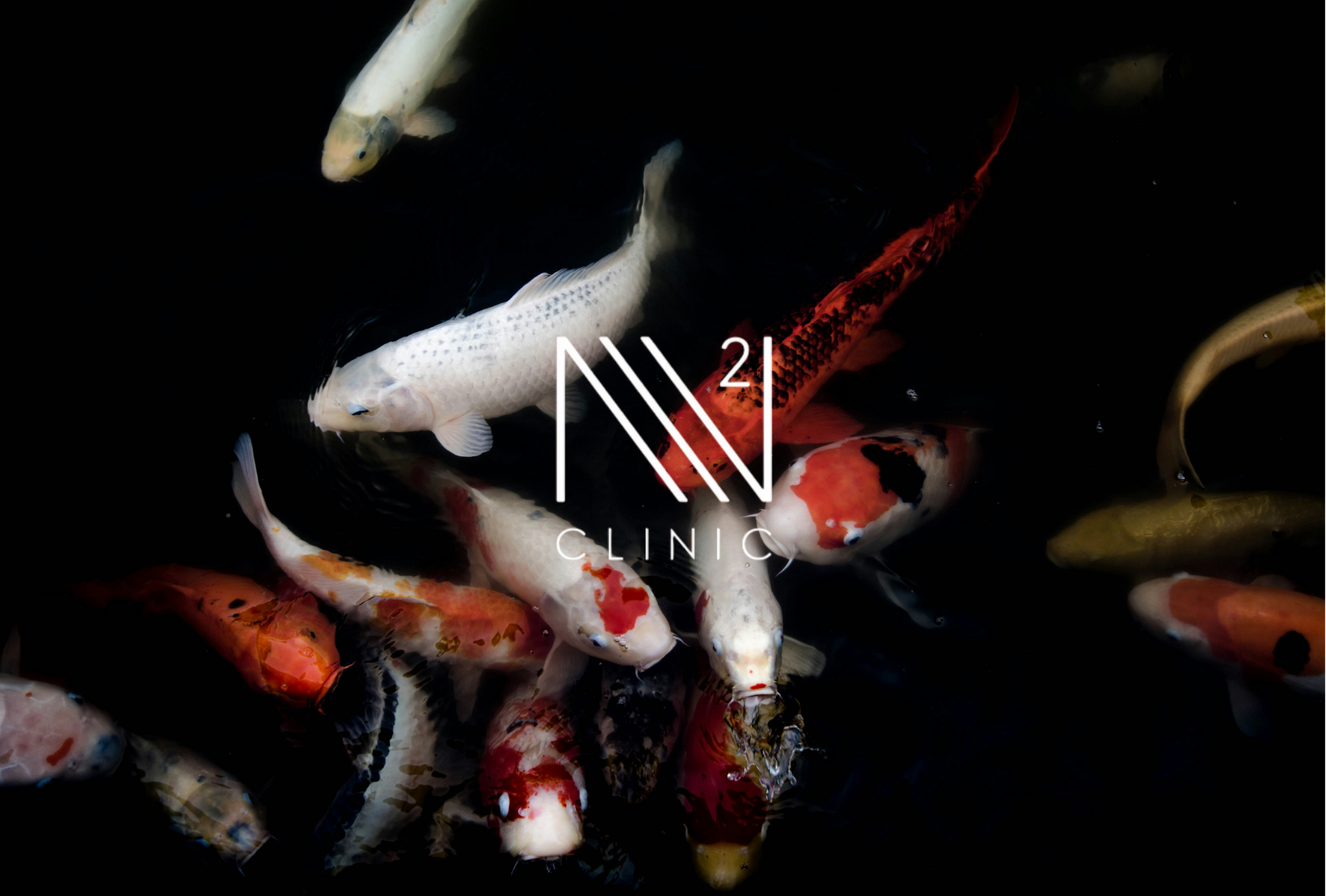 再生医療の歴史 ― 幹細胞研究はいかに発展してきたか？