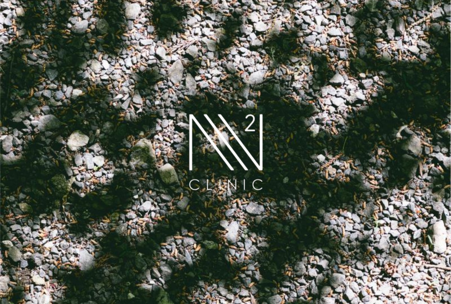 「幹細胞治療は“若返り”ではない ― 本質は“機能回復”にある」