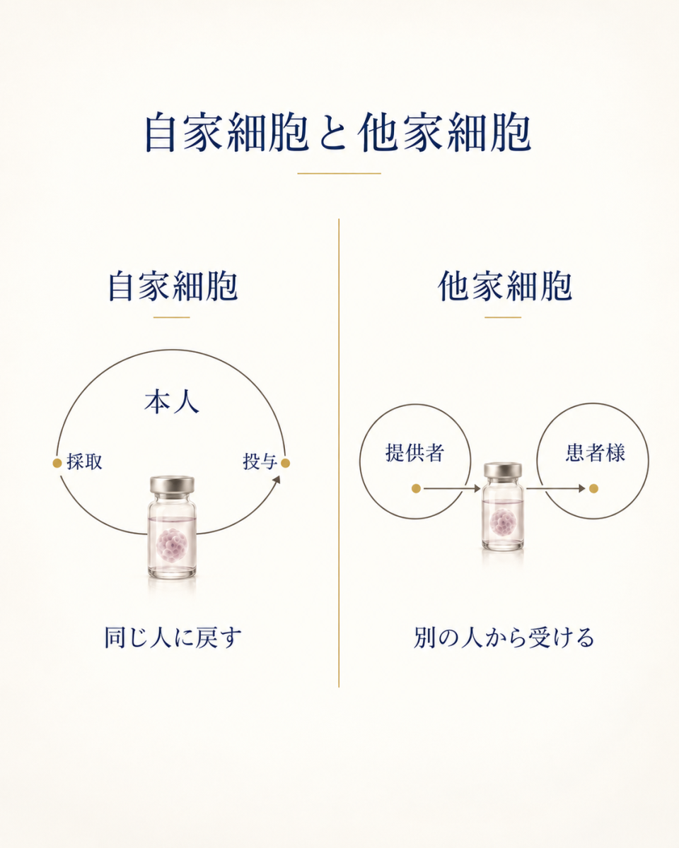 本人由来の自家細胞と提供者由来の他家細胞の違いを比較した図解