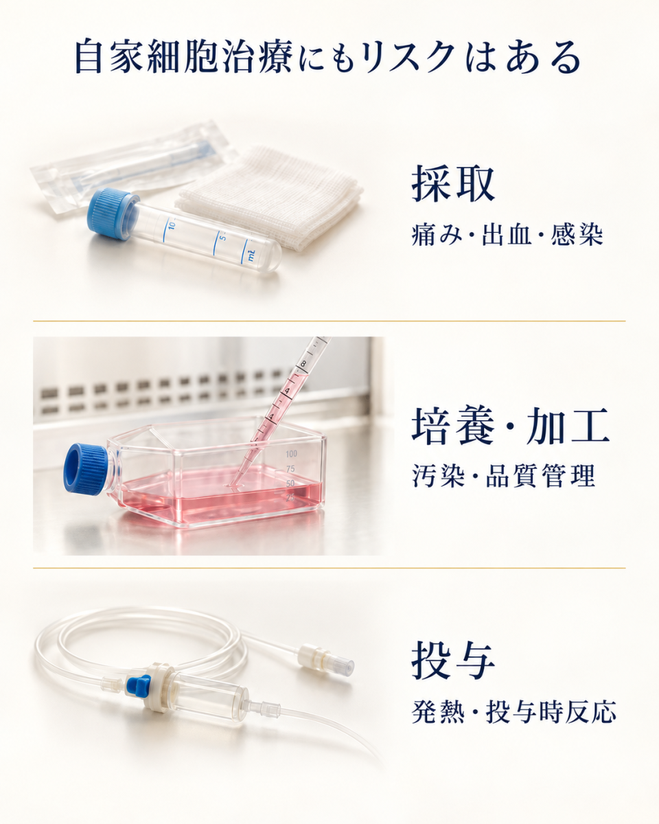 自家細胞治療における採取・培養加工・投与の各段階で考えられるリスクの図解