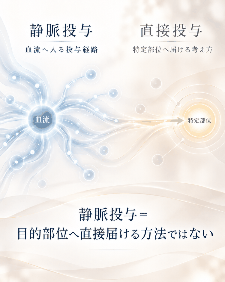 静脈投与が血流を介する投与であり、目的部位へ直接届ける方法とは異なることを示す図解