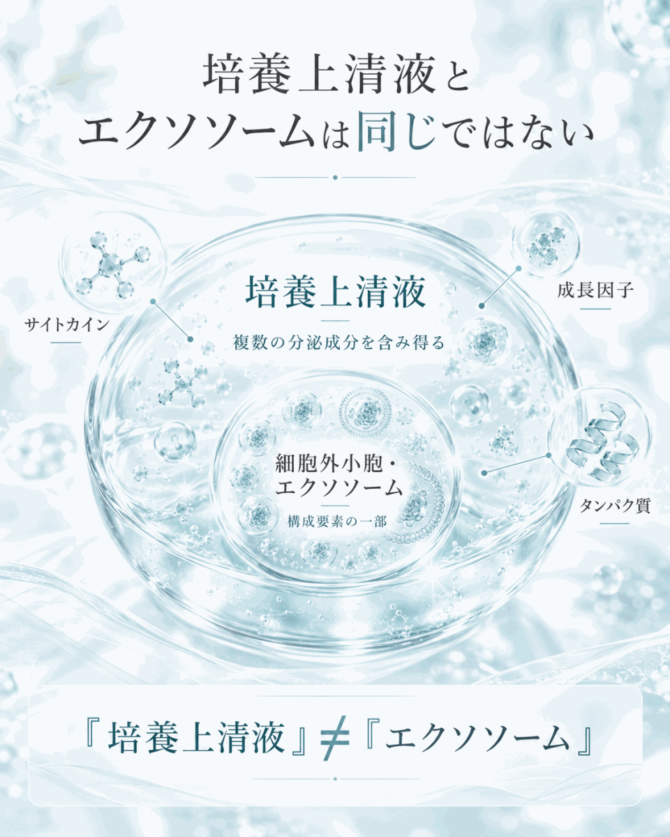 培養上清液とエクソソームの違いを整理した比較図