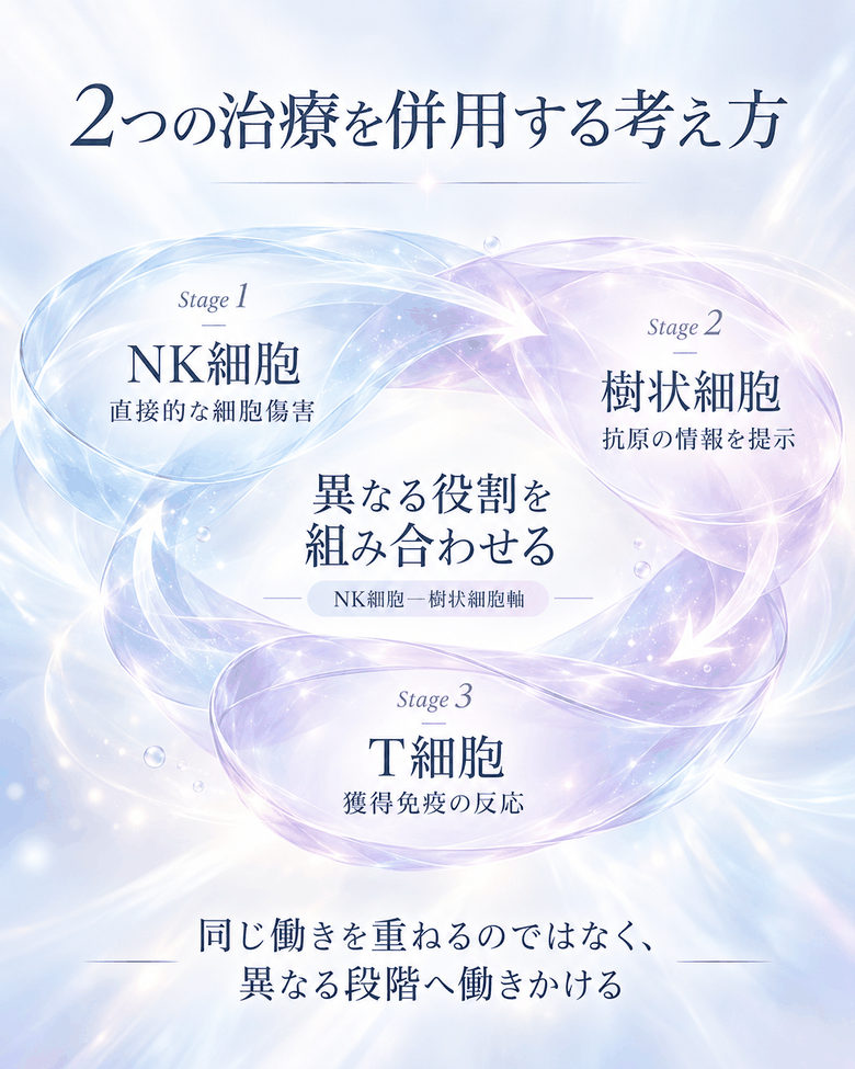 NK細胞、樹状細胞、T細胞の異なる役割を組み合わせる併用の考え方を示した図解