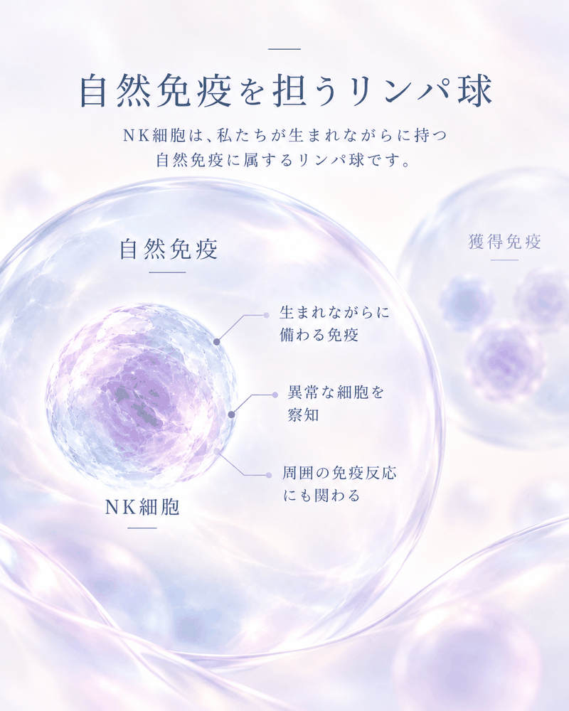 NK細胞療法を検討する前に確認したいポイントを整理した図解