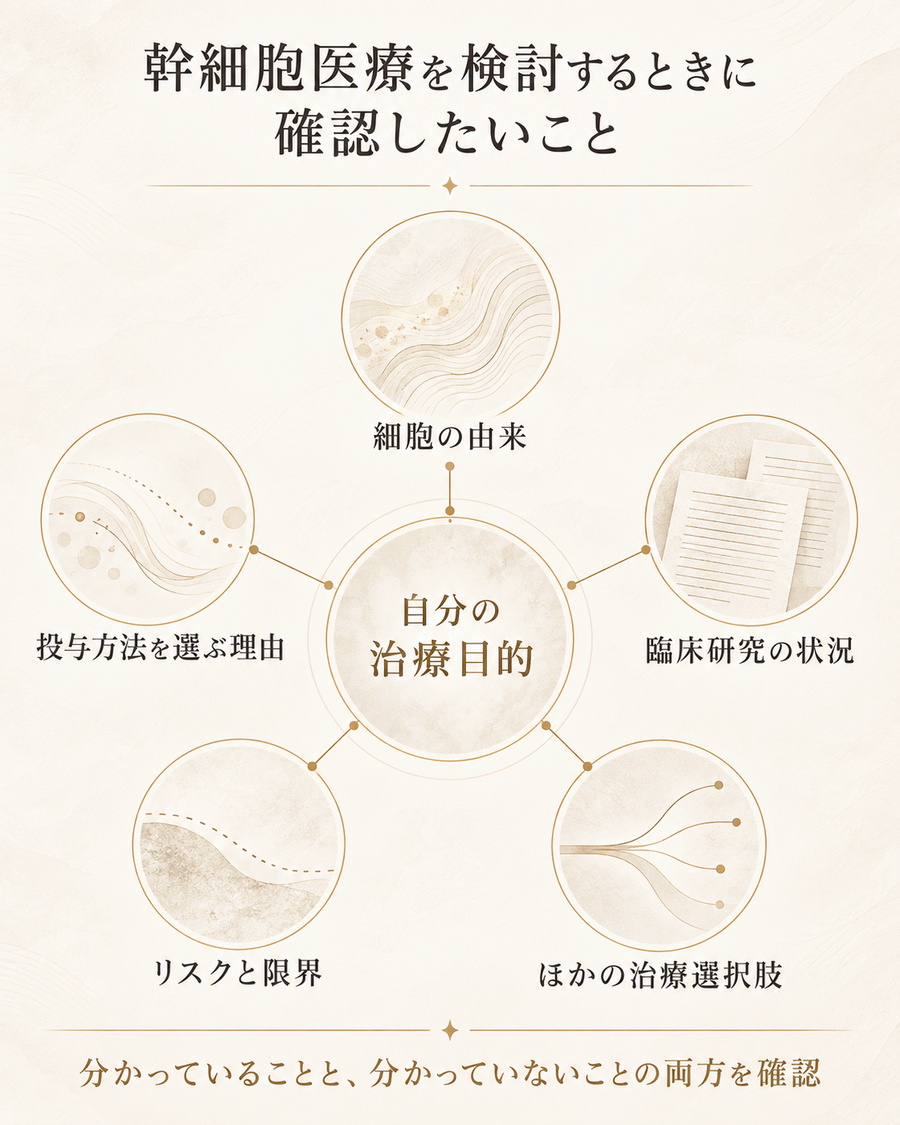 幹細胞医療を検討するときに細胞の由来や投与方法、臨床研究、リスク、ほかの治療選択肢を確認する図解