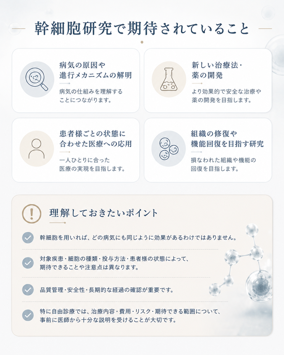 幹細胞研究で期待されている病気の解明や治療法開発、組織修復への応用と、効果や安全性を確認する際の注意点をまとめた図解