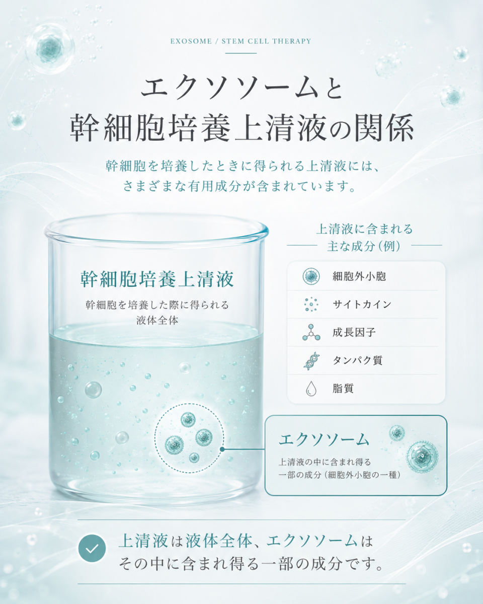 幹細胞培養上清液には複数の成分が含まれ得て、エクソソームはその中に含まれ得る一部の成分であることを整理した図解