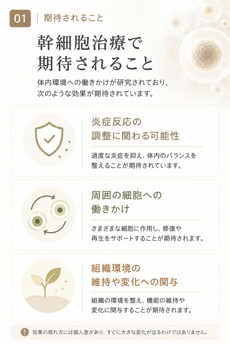 幹細胞治療で期待されることをまとめた図解
