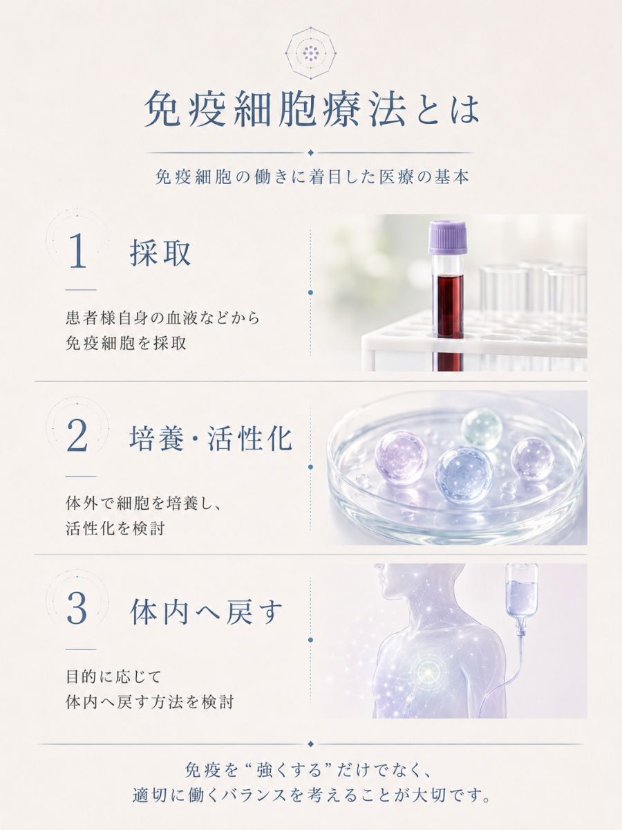 免疫細胞療法の基本的な流れを3ステップで示した図解