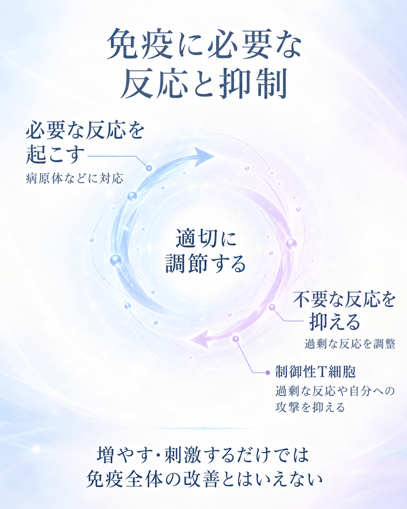 必要な免疫反応と不要な反応の抑制、制御性T細胞による調節の関係を示した図解