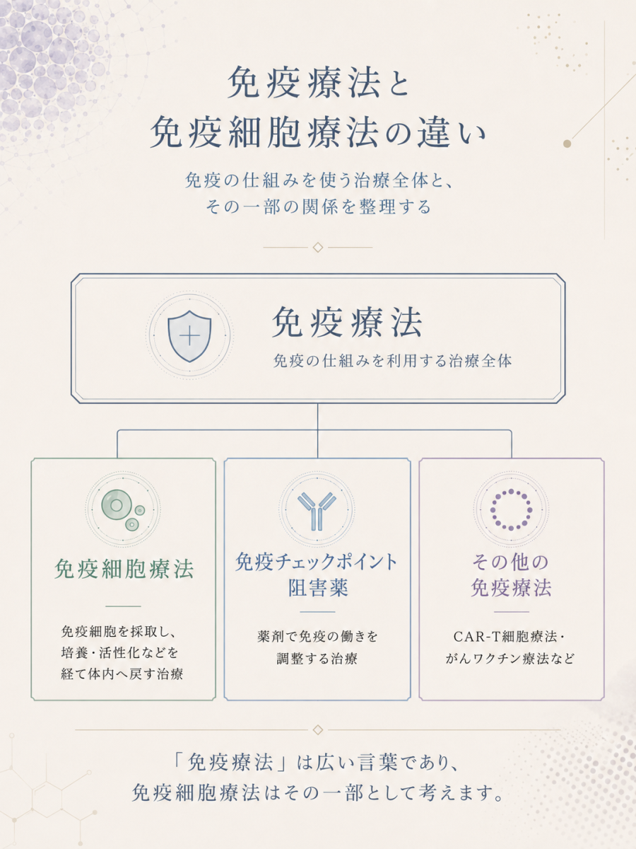 免疫療法と免疫細胞療法の違いを整理した図解