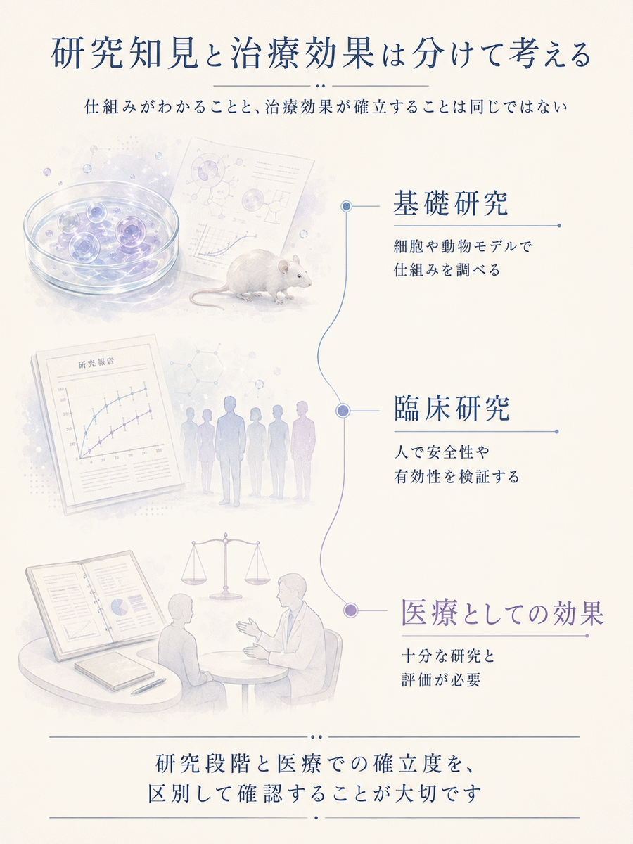 ミトコンドリアと免疫の基礎研究、臨床研究、医療としての効果の違いを示した図解