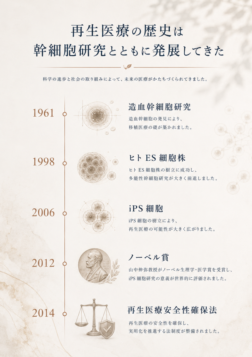 1961年の造血幹細胞研究からES細胞、iPS細胞、2014年の制度整備まで再生医療の歴史を時系列で整理した図解