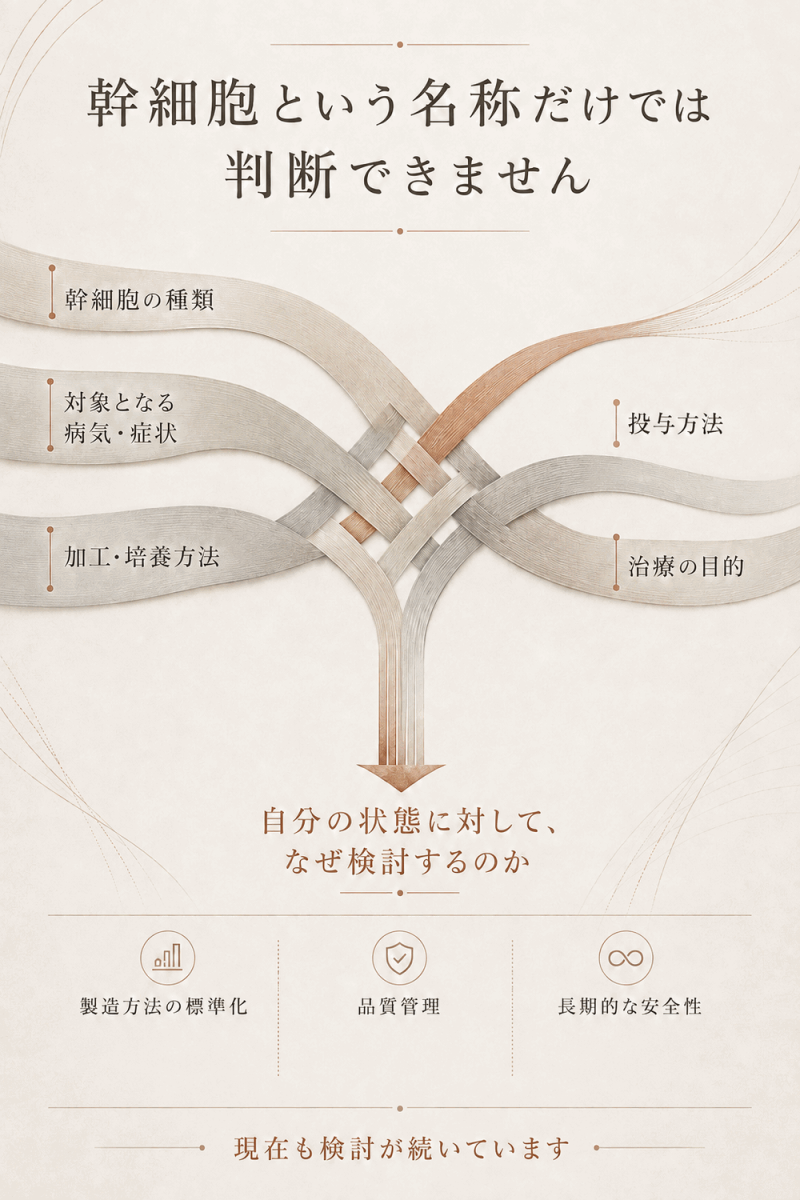 幹細胞治療を検討する際に確認したい細胞の種類や対象疾患、培養方法、投与方法、治療目的を示した図解