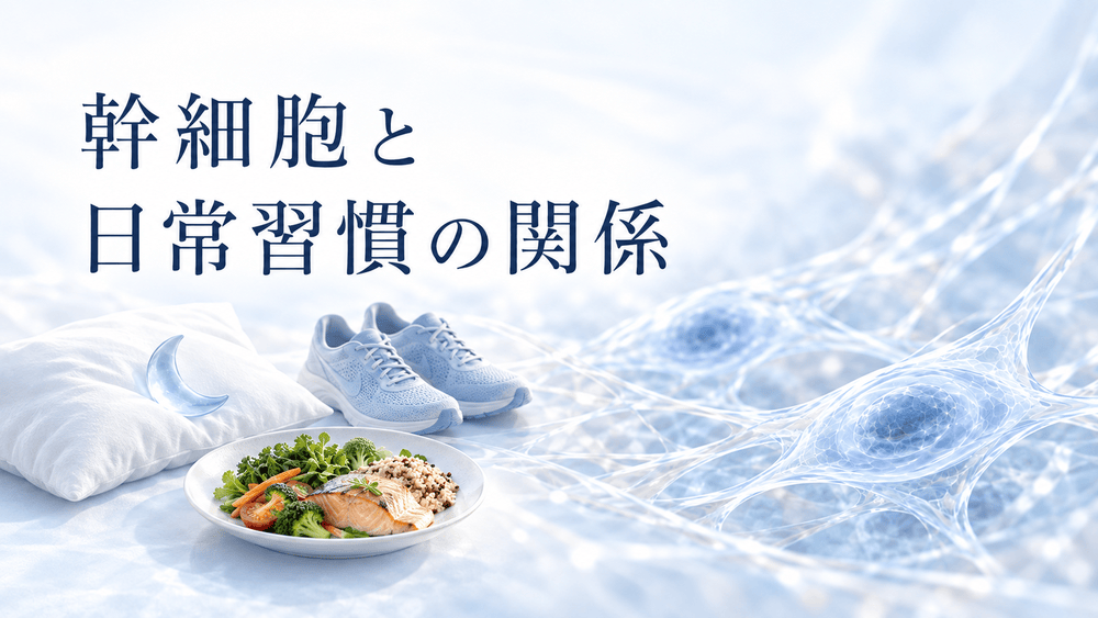 幹細胞と周囲の環境に、睡眠・運動・食事などの日常習慣が関わることを表現したヒーロー画像