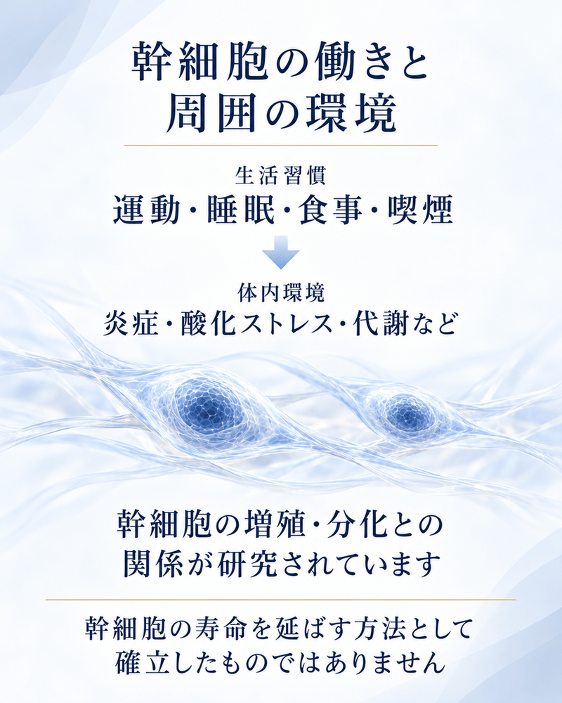 生活習慣と体内環境、幹細胞の増殖・分化との関係が研究されていることを整理した図解