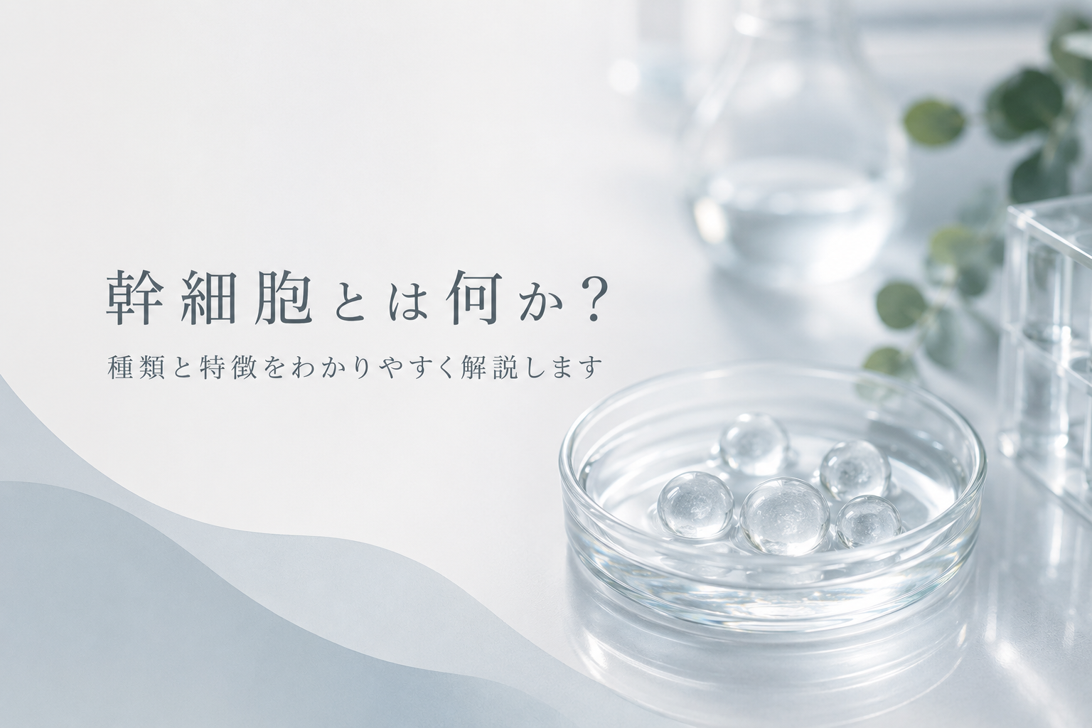 幹細胞の種類と特徴を紹介する記事のヒーロー画像