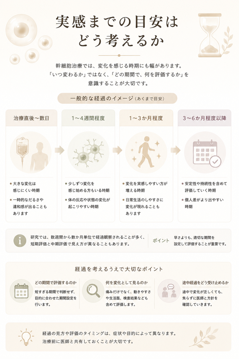 幹細胞治療の実感までの目安として治療直後、数週間、数か月単位で経過を見ていく考え方を示した図解