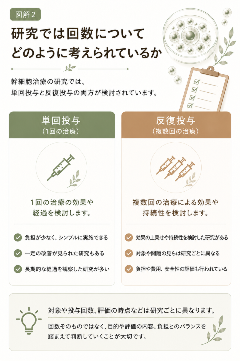 幹細胞治療の研究で検討される単回投与と反復投与の違いや、対象状態、投与回数、評価時点、安全性を確認するポイントをまとめた図解