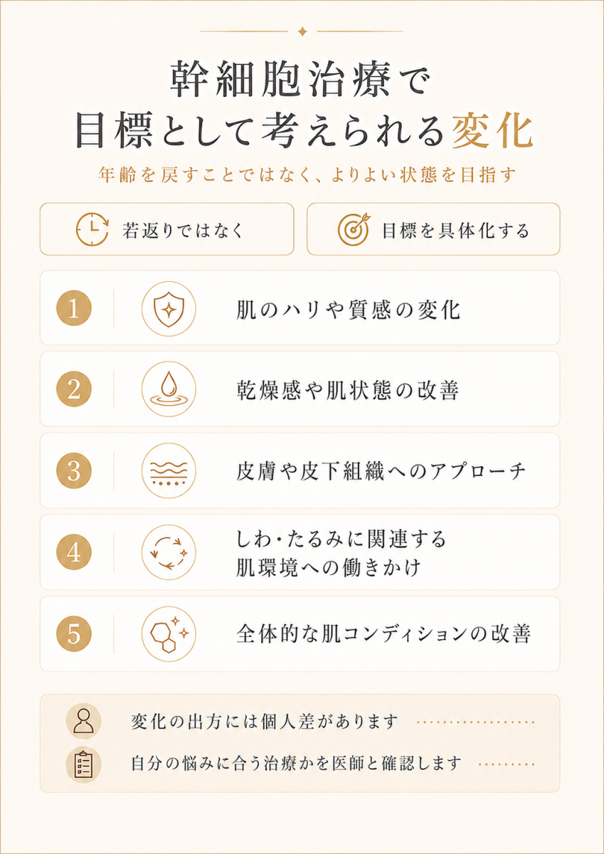 幹細胞治療で目標として考えられる肌のハリや質感、乾燥感、皮膚や皮下組織へのアプローチなどを整理した図解