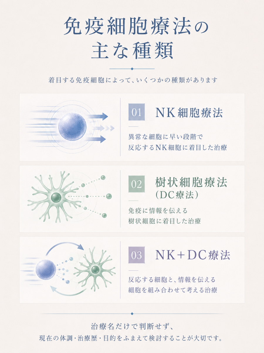 NK細胞療法と樹状細胞療法など免疫細胞療法の主な種類を示した図解